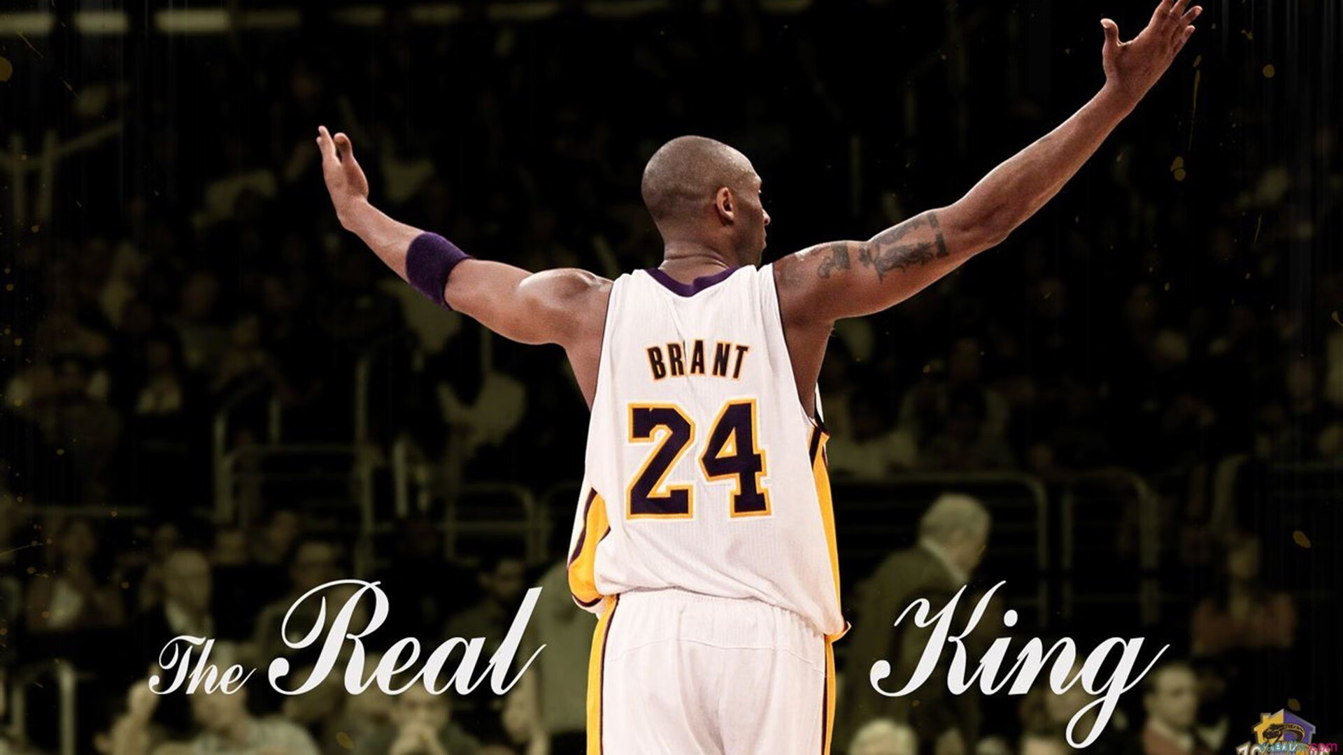 开云体育下载-技术动作细节数据背后的故事，技术动作的形成过程